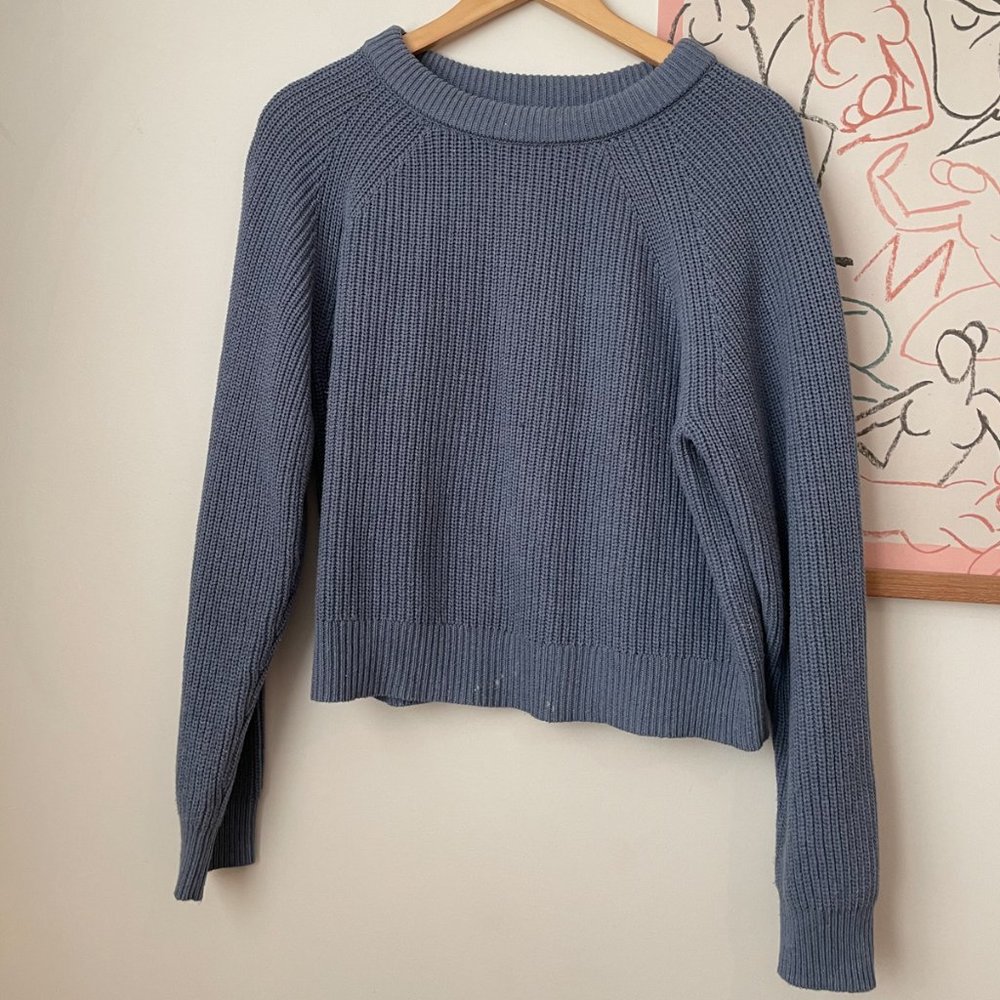 Foundationals Blue Sustainable sweater